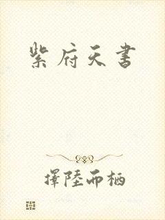 紫府天书