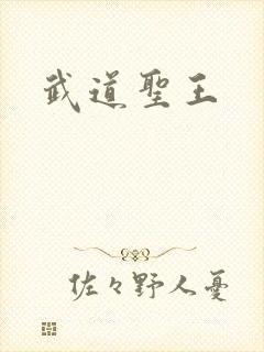 武道圣王