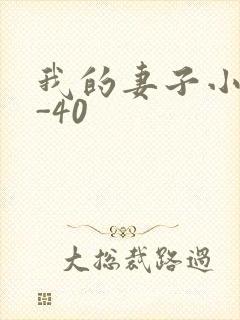 我的妻子小谨1-40封面