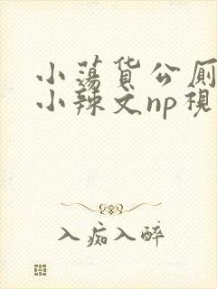 小荡货公厕h文小辣文np视频