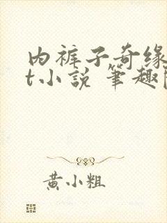 内裤子奇缘txt小说 笔趣阁