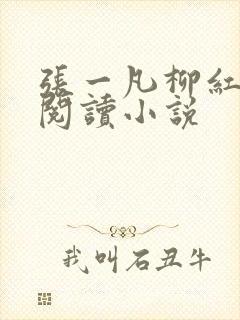 张一凡柳红免费阅读小说