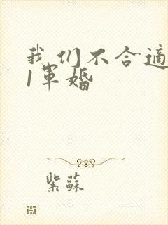 我们不合适1v1军婚封面