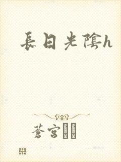 长日光阴h