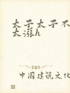 太子太子不要了太涨h