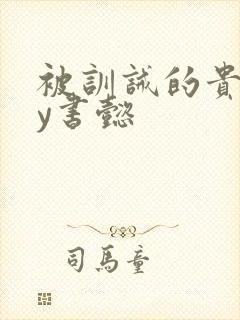 被训诫的贵妃by书懿