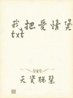 我把爱情煲成汤txt