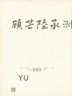顾芒陆承洲