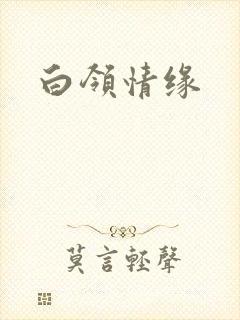 白领情缘