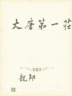 大唐第一庄