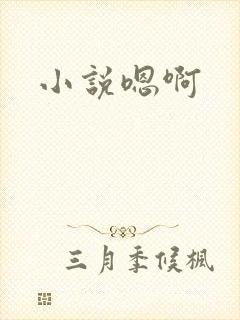 小说嗯啊