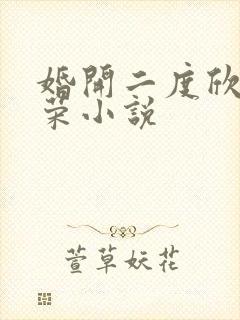婚开二度欣欣向荣小说