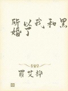 所以我和黑粉结婚了