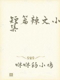 短篇辣文小说合集