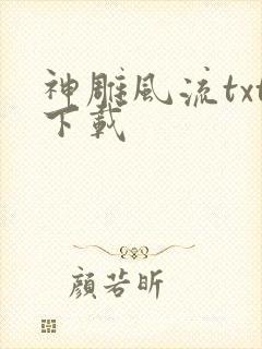 神雕风流txt下载