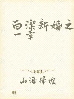 白洁新婚之夜第一章