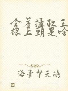 含着摄政王的紫根上朝是啥小说