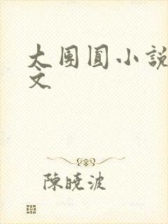 大团圆小说集全文