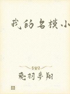 我的名模小娇妻