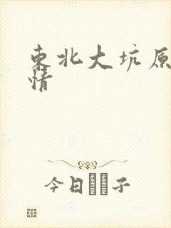 东北大坑原始激情