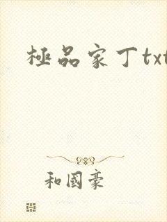 极品家丁txt