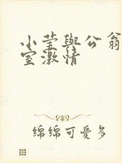 小莹与公翁办公室激情