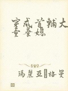 穿成首辅大人的童养媳