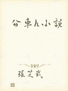 《公车h小说》小说封面