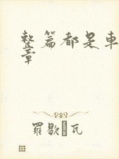 整篇都是车的文章