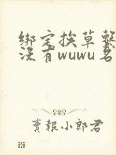 绑定挨草系统后没有wuwu名字