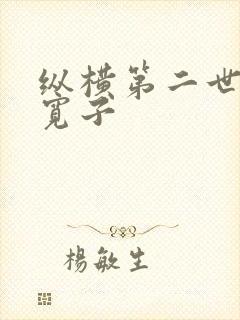 纵横第二世界 宽子