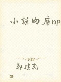 小说肉糜np