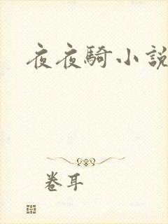 夜夜骑小说