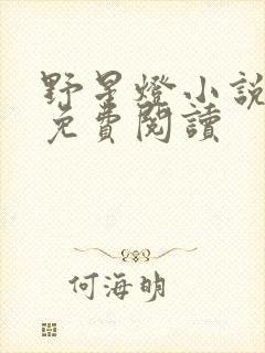 野星灯小说全文免费阅读