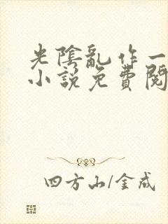 光阴乱作一团的小说免费阅读