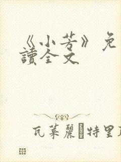 《小芳》免费阅读全文