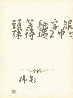 头等舱客服的特殊待遇2中字