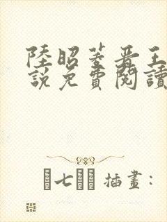 陆昭菱晋王的小说免费阅读