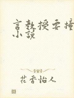 言教授要撞坏了小说