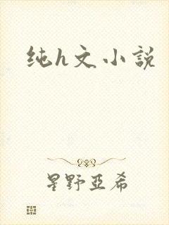 纯h文小说