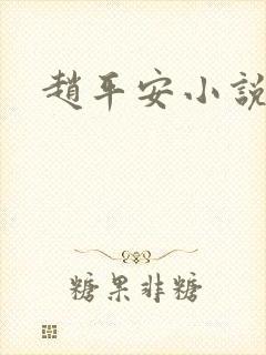 赵平安小说主角