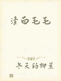 清白毛毛