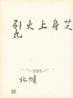 引火上身芝麻糖丸