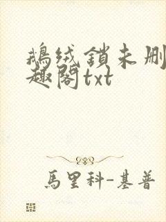 鹅绒锁未删除笔趣阁txt封面