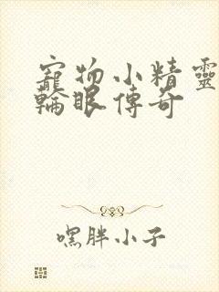 宠物小精灵之写轮眼传奇