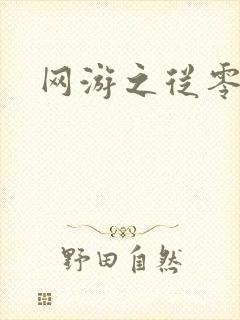 网游之从零开始