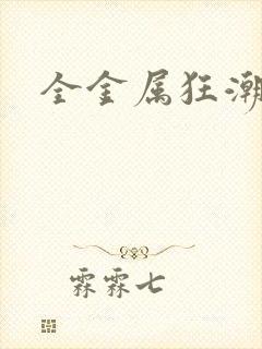 全金属狂潮小说