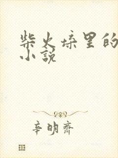 柴火垛里的疯狂小说封面