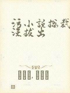 污小说总裁整夜没拔出