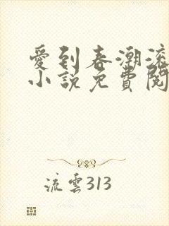 爱到春潮滚滚来小说免费阅读